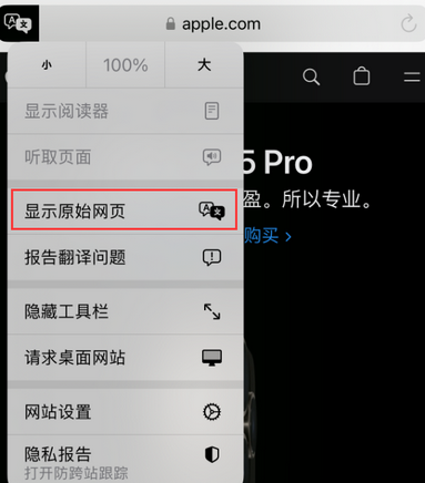 在 iPhone 上使用 Safari 浏览器翻译网页